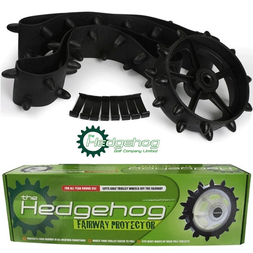 Hedgehog motocaddy cube - hedgehog,
