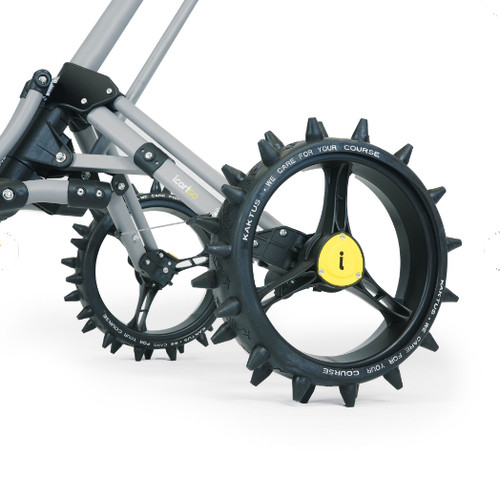Masters kaktus winter - masters,